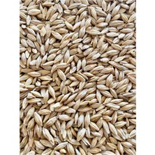 Erkan Tarım Organik Doğal Arpa Yemlik Tavuk - Büyükbaş - Kuş Yemi 1 Kg