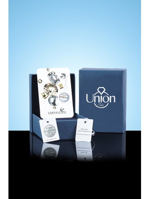 Union Takı Union Swarovski Crystal Kadın Çift Renk Sallantılı Çivili Gümüş Küpe