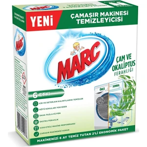 Çamaşır Makinesi Temizleyici 250 ml 2 Li Çam ve Okaliptus