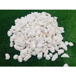 Canlı Petshop Akvaryum – Fanus – Teraryum Renkli Dekor Taşları (Beyaz Renk) 8-10 mm 1 kg