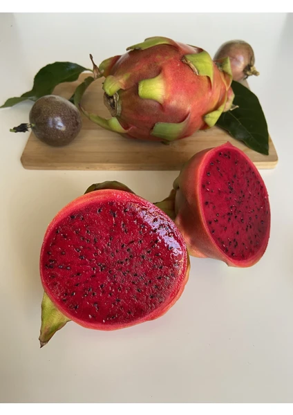 Yerli Ejder Meyvesi - Pitaya 3 Adet (200-300g)