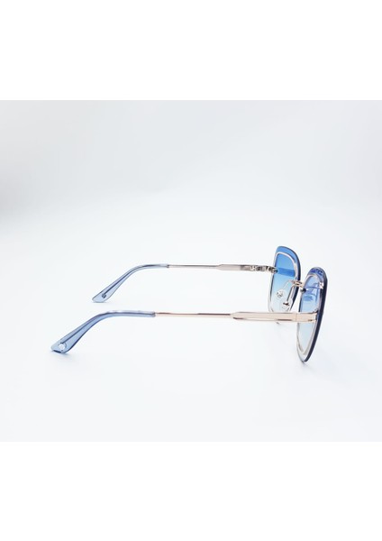 Bayan Güneş Gözlüğü FLS456 610 60-15-140 fırsatları