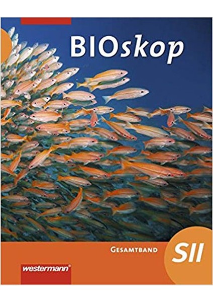 Bioskop Sıı Ausgabe Rheinland Pfalz Westermann