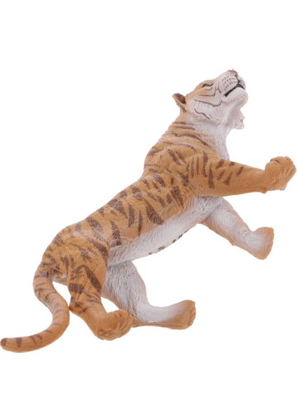 2 Adet Vahşi Yaşam Modeli Feline Heykelleri Çocuk Oyuncak Koleksiyonları - Panter ve Kaplan(Yurt Dışından) fırsatları