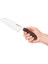 Pure CPM Santoku Bıçak 2