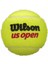 Us Open 3’lü Tenis Topu 2