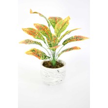 Yapay Çiçek Deposu Beton Saksıda Uzun Yapraklı Yapay Bitki 42 cm Model-7
