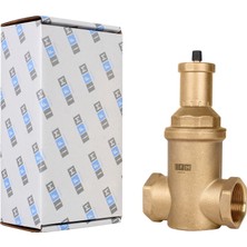 IFM 1'' (DN25) Ultraplus Pirinç Hava Ayırıcı
