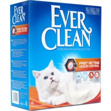 Ever Clean Fast Acting 10 Lt