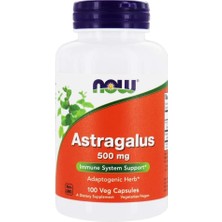 Now Foods, Astragalus, 500 Mg, 100 Capsules