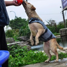 Kesoto Köpekler için Yüzme Can Yeleği - Siyah (Yurt Dışından)