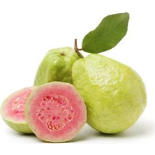Grow Botanik Tropikal Guava Fidan Tüplü Özel Stok