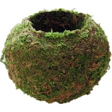 Çap Kuru Yosun Dikim Topu Bahçe Bitki Saksı Nemlendirici Saksı 9 cm