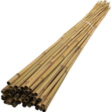 Doruk Dekor 75 cm 25 -35 mm Çiçek Destek Bambu Çubuk 10 Ad.