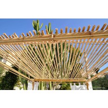 Doruk Dekor 75 cm 25 -35 mm Çiçek Destek Bambu Çubuk 10 Ad.