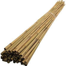 Doruk Dekor 200 cm 25 -35 mm Çiçek Destek Bambu Çubuk 10 Ad.