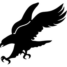 Stickrmarket | Avlanan Kartal | Araba Laptop Duvar Folyo Sticker (Siyah)