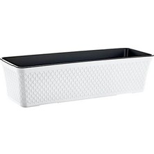 Irak (*) SS200 Saksı Sümbül Balkon No:1 4,2 Lt °karışı