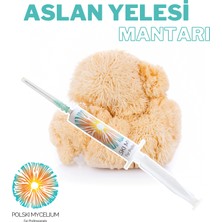 Polski Mycelium  Aslan Yelesi Mantarı Sıvı Miseli 5 ml Mantar Tohumu Mantar Miseli Ana Kültür Misel ve Kompost Üretmek Için