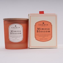 Charya Maison Mimosa Blossom 230 G Doğal ve Vegan Mum