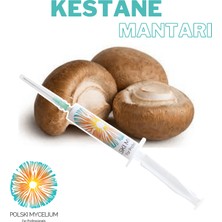 Polski Mycelium Kestane Mantarı Sıvı Miseli 5 ml Mantar Tohumu Mantar Miseli Ana Kültür Misel ve Kompost Üretmek Için