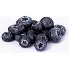 Muzdeniz Yerli Blueberry Taze Mis Kokulu (Yaban Mersini) 125 gr