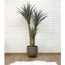 Odka Saksı Tabaklı 40CM Naturel