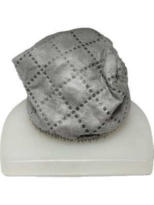 Arzum AR489 Hera 2000 Dikey Elektrikli Süpürge Orijinal Filtre