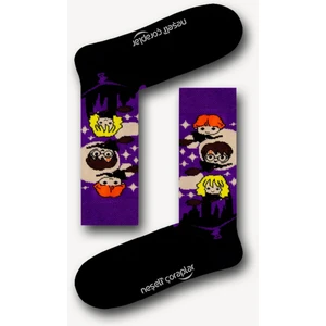 Neşeli Çoraplar Harry Potter Desenli Renkli Erkek Çorap