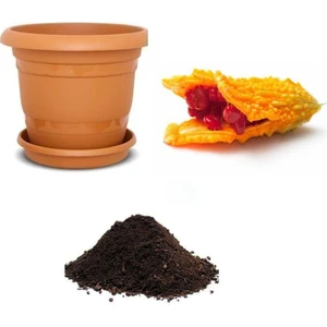 Serdar Çam Tohumculuk Nadir Kudret Narı Tohumu Ekim Seti