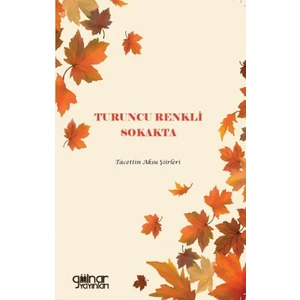 Turuncu Renkli Sokakta - Tacettin Aksu