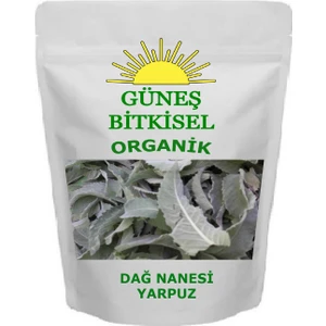 GÜNEŞ BAHARAT Dağ Nanesi Yarpuz