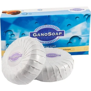 Gano Soap  Keçi Sütlü Ve Ganoderma Mantarlı Sabun 2x100 Gr
