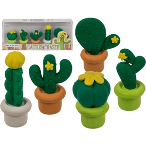 Cactus Eraser Kaktüs Silgi Seti