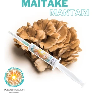 Polski Mycelium  Maitake Mantarı Sıvı Miseli 5 ml Mantar Tohumu Mantar Miseli Kompost Üretmek Için Ana Kültür