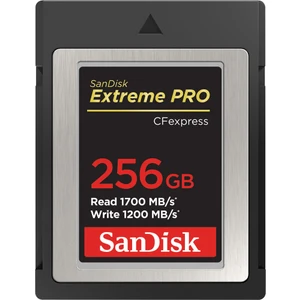 256GB Extreme Pro Cfexpress Card Type B (SDCFE-256G-GN4IN)