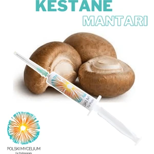 Polski Mycelium  Kestane Mantarı Sıvı Miseli 5 ml Mantar Tohumu Mantar Miseli Ana Kültür Misel ve Kompost Üretmek Için