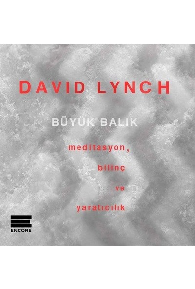 Büyük Balık - David Lynch