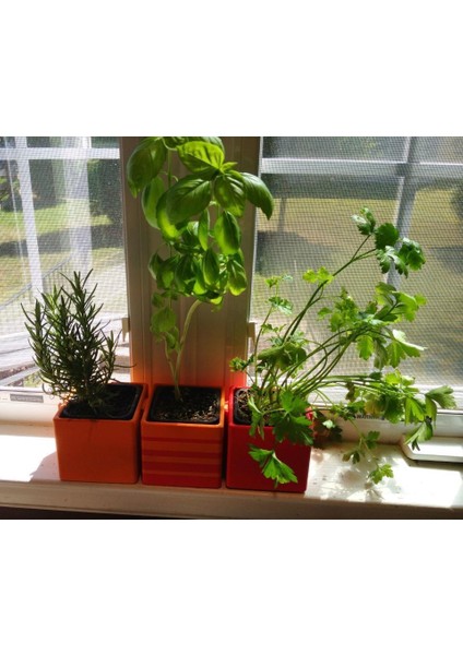 Modüler Kilitleme Windowsill Herb Pot Plastik Aparat