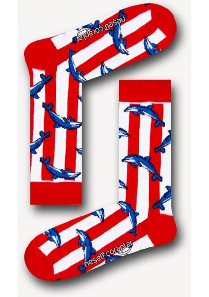 Yunus Desenli Erkek Renkli Çorap