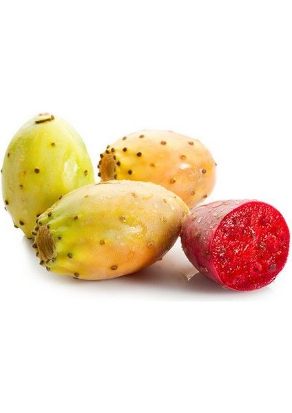 Nadir Saksılık Dikenli Incir Tohumu Ekim Seti fırsatları