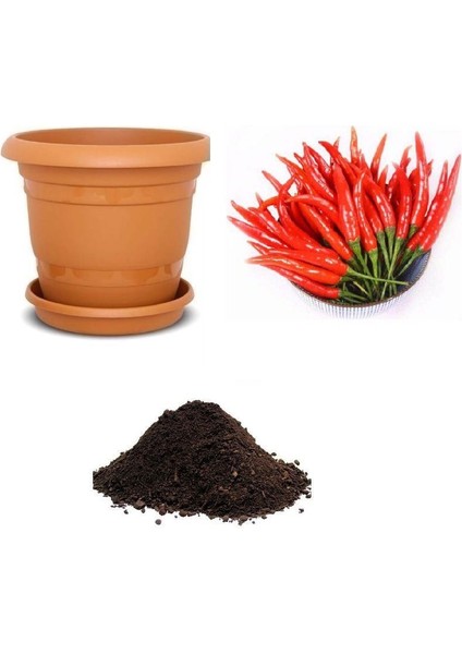 Nadir Acı Macar Biberi Tohumu Ekim Seti