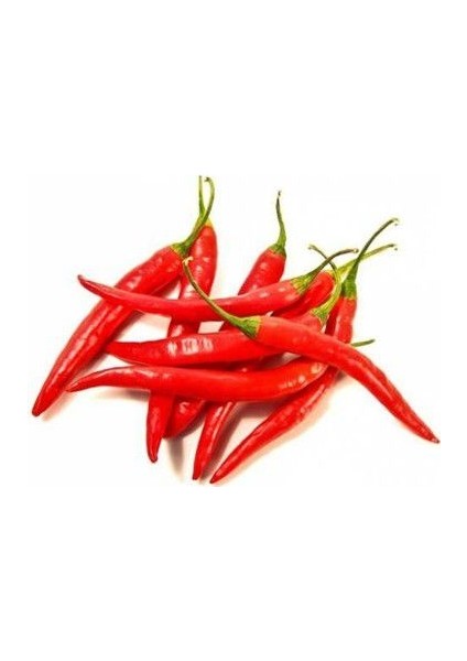 Nadir Acı Macar Biberi Tohumu Ekim Seti fiyatları