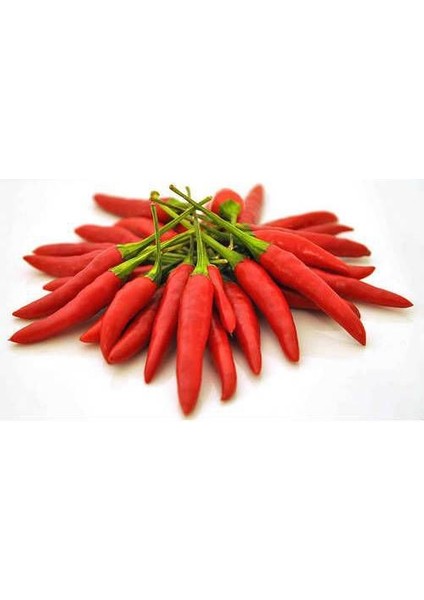 Nadir Acı Macar Biberi Tohumu Ekim Seti modelleri