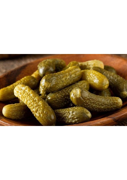 Kornişon Salatalık Tohumu Ekim Seti modelleri