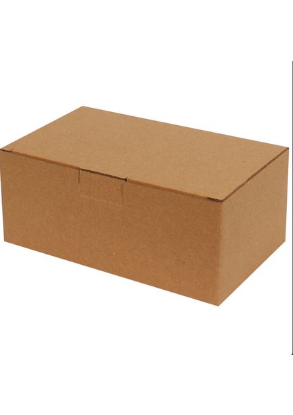 Kraft Kilitli Kargo Kutusu / Ebat: 20x12x8 cm (100 adet) fiyatları
