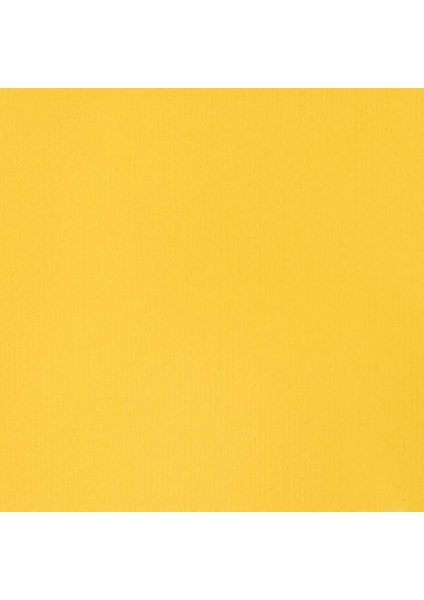 : Professional Soft Body : Akrilik Boya : 237 ml : Cadmium-Free Yellow Light 889 S3 modelleri