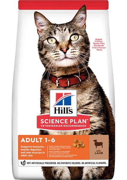 Adult Kuzu Etli Yetişkin Kedi Maması 3 kg