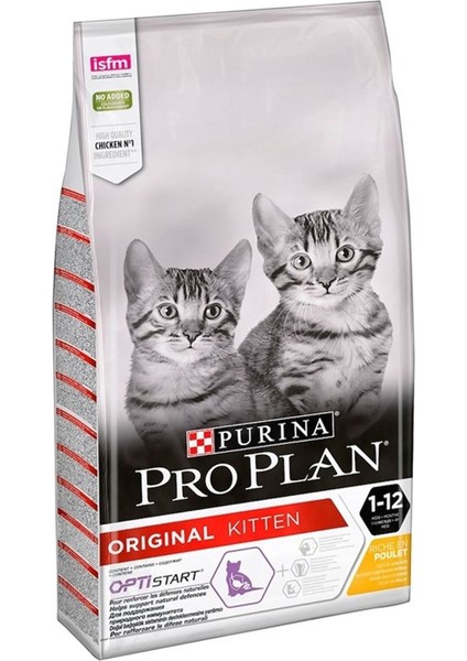 Junior Tavuklu Yavru Kedi Maması 1,5 kg