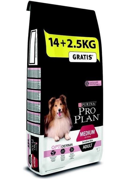 Somonlu Hassas Yetişkin Kuru Köpek Maması 14+2,5 kg